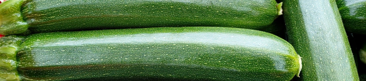 zucchini-teaser.jpg