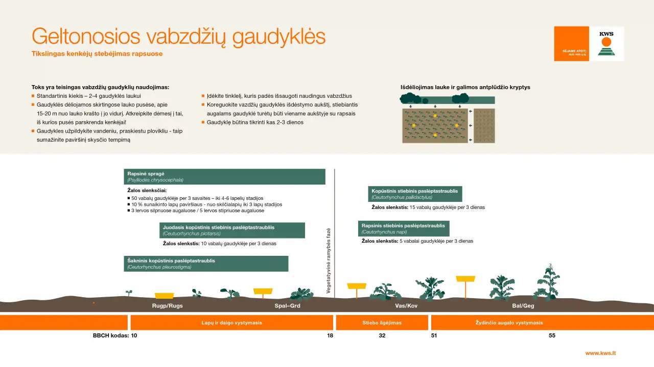 lt_yellow_traps_factsheet-kopie-copy.webp