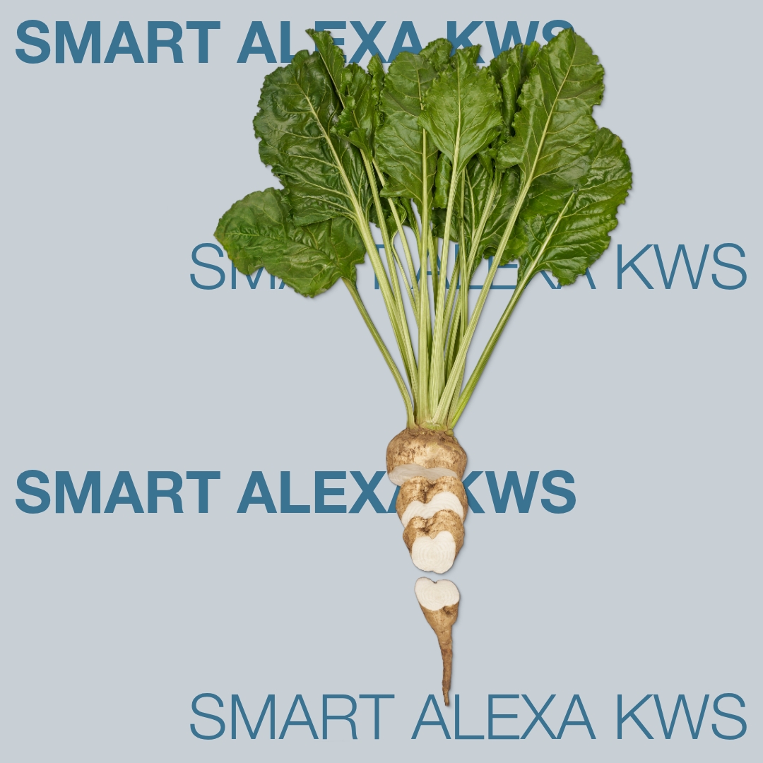 smart_alexa_kws_keyvisual_lt_1x1_1.jpg