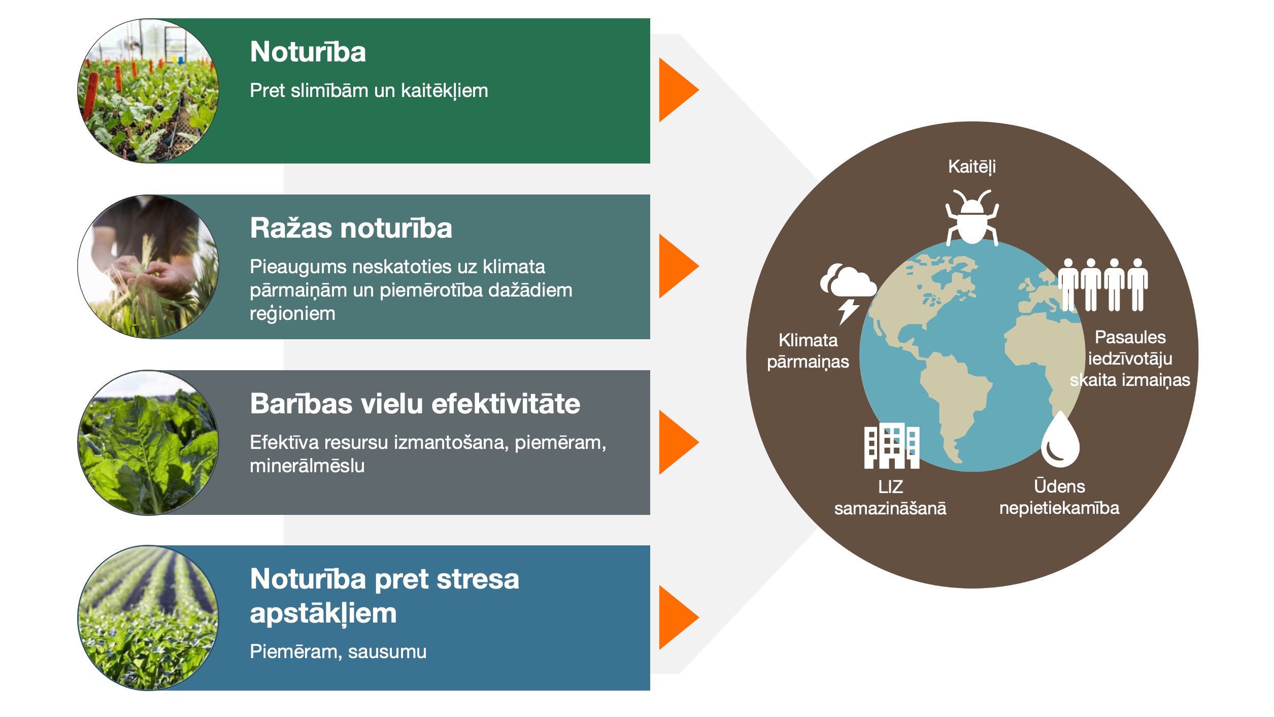 Breeding objectives at KWS