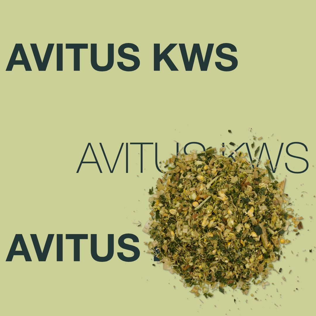 avitus_kws_keyvisual_lv_1x1_1.jpg