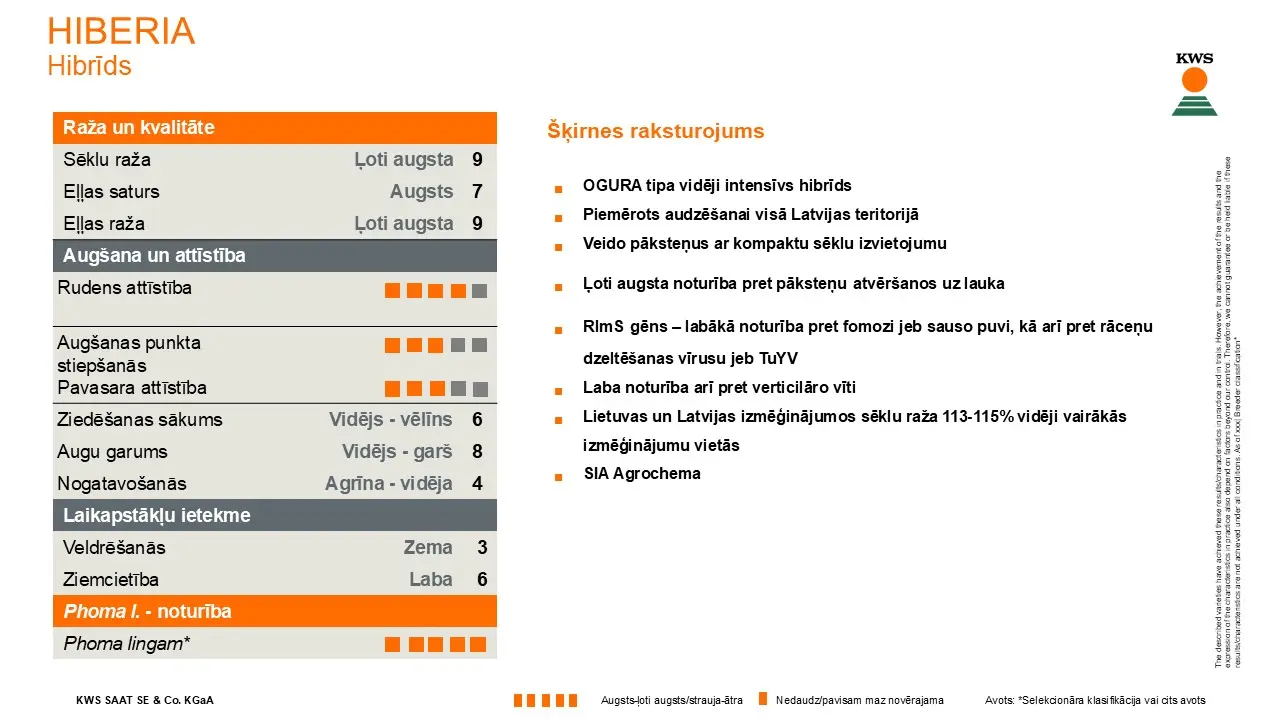 hiberia_lv_2025-2.jpg
