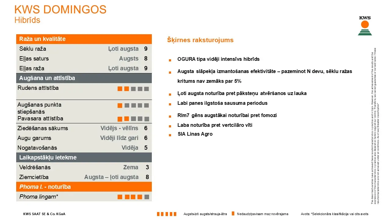 kws-domingos_lv_2025.jpg
