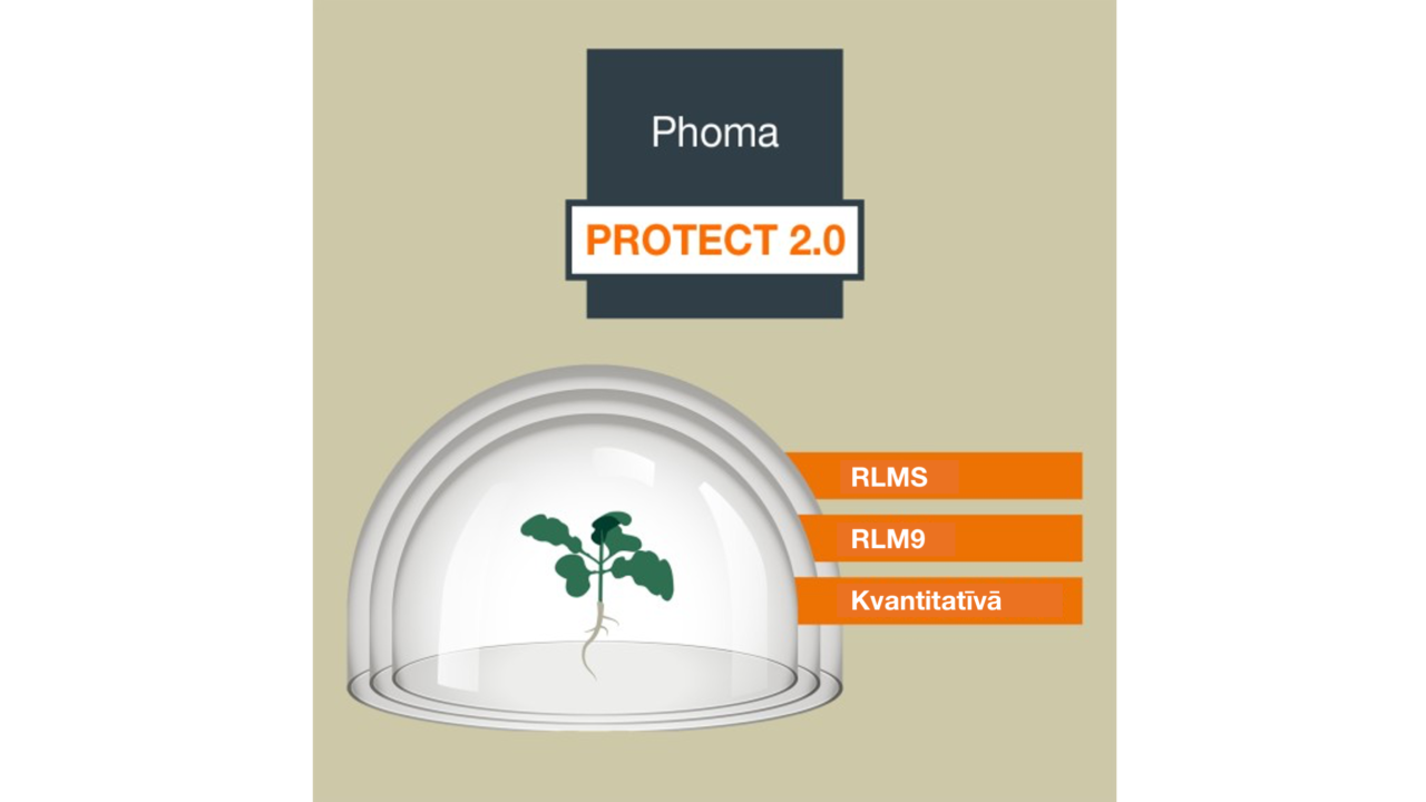 kws_lv_phoma_protect_20.png