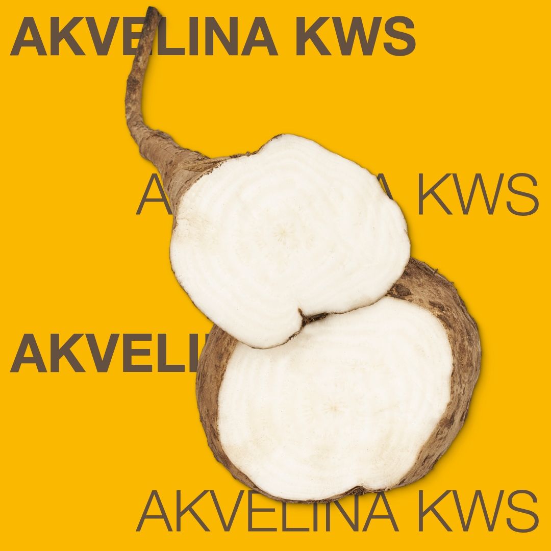 akvelina_kws_keyvisual_md_1x1_1.jpg