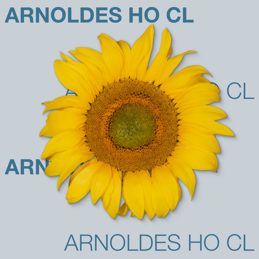 arnoldes_ho_cl_keyvisual_md_1x1_1.jpg