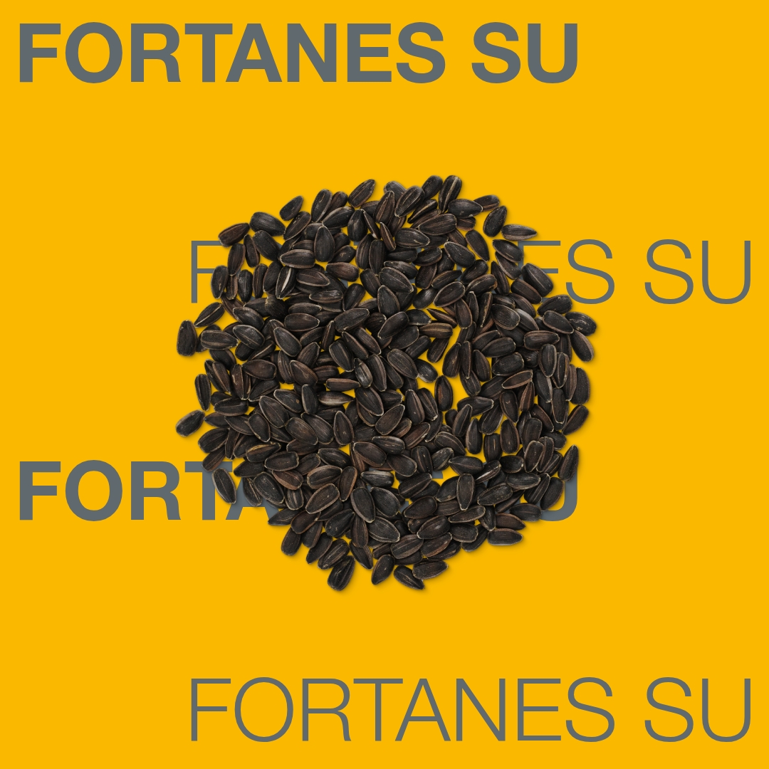 fortanes_su_keyvisual_md_1x1_1.jpg