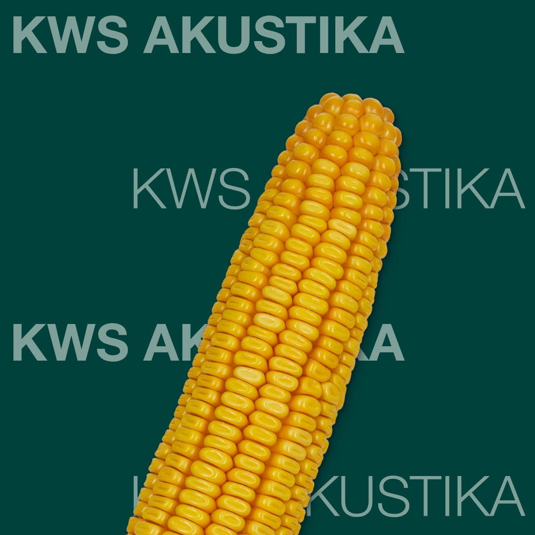 kws_akustika_keyvisual_md_1x1_1.jpg