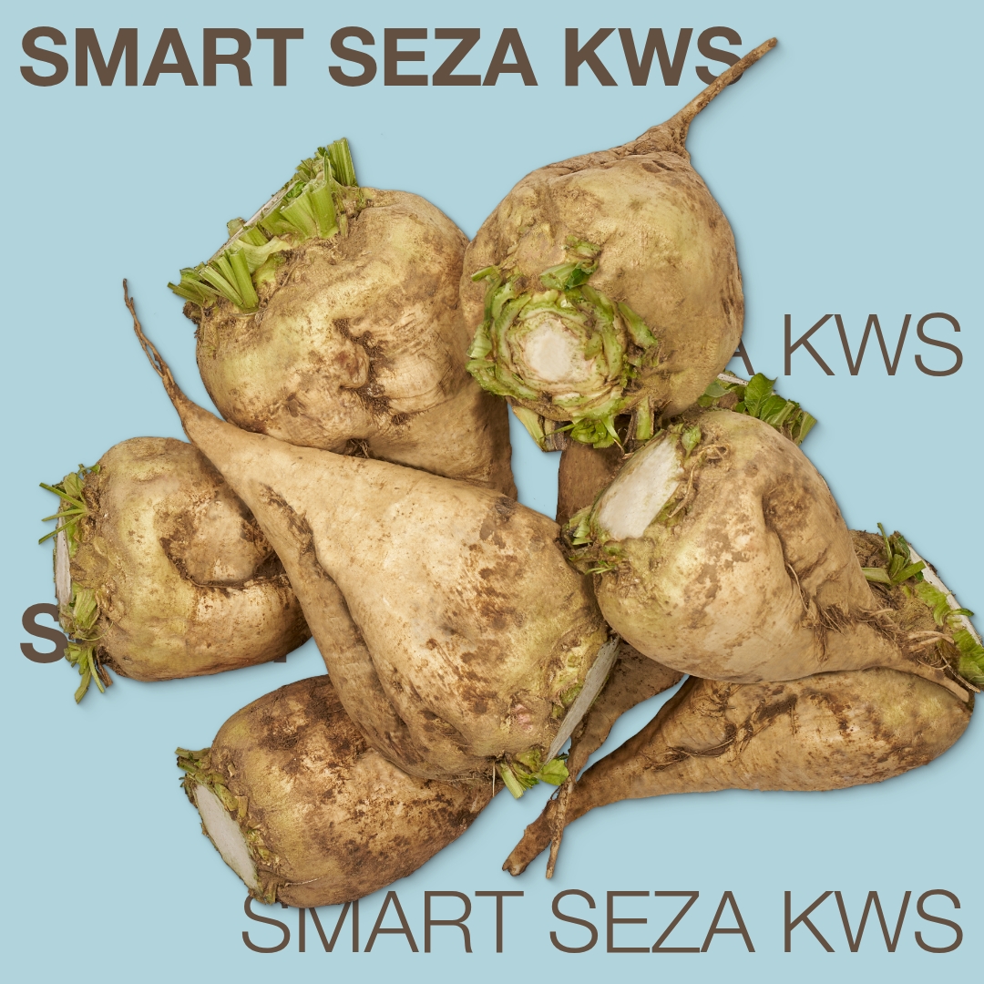 smart_seza_kws_keyvisual_md_1x1_1.jpg