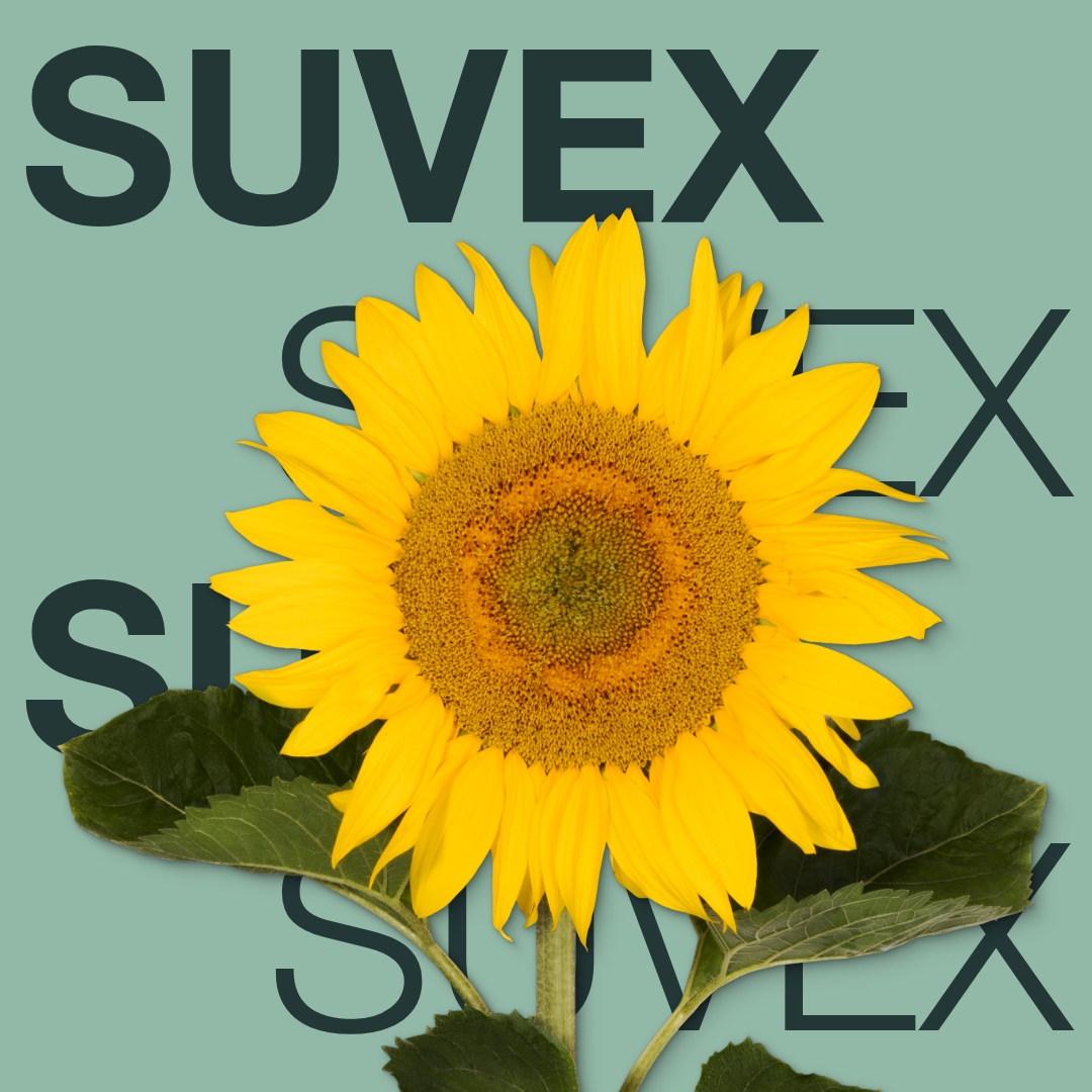 suvex_keyvisual_md_1x1_1.jpg