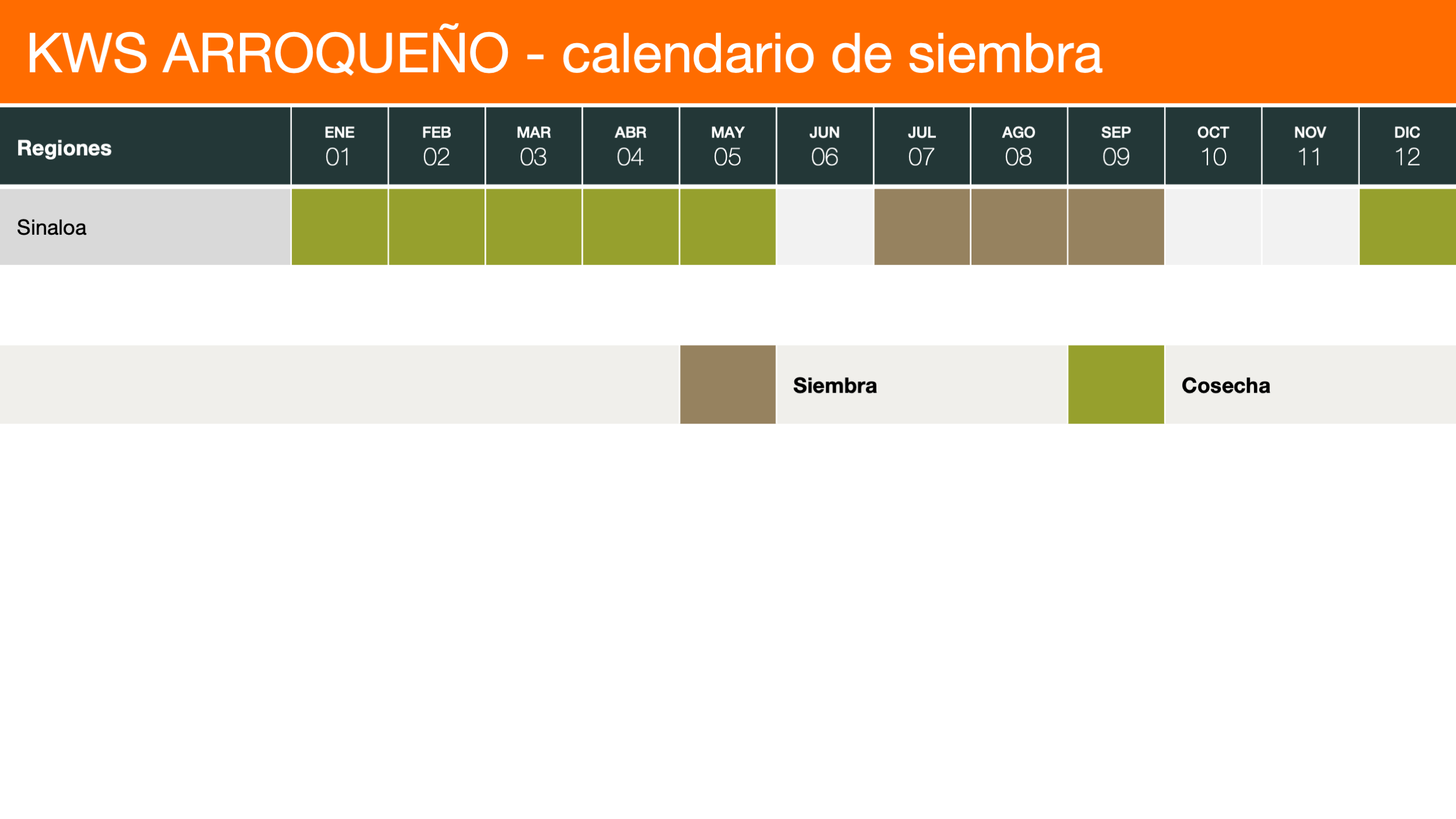 KWS ARROQUEÑO - сalendario de siembra de tomates