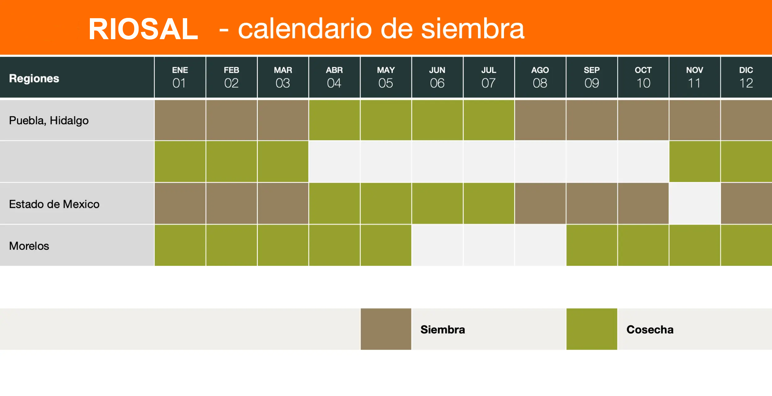 CRP7142 - сalendario de siembra de tomates