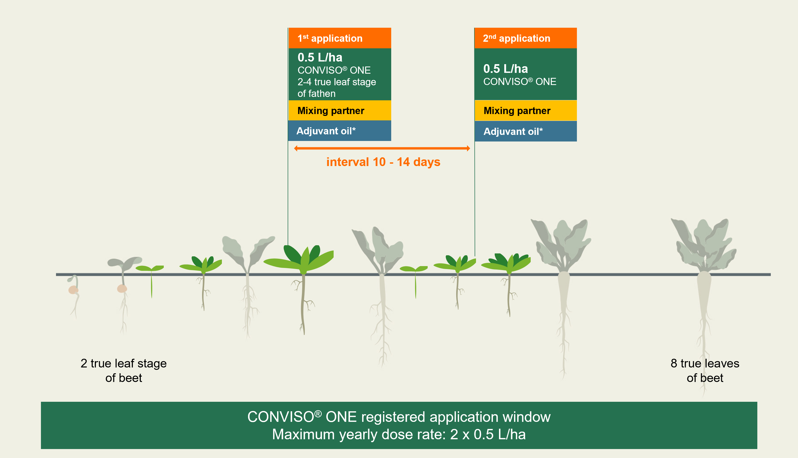 How To Use CONVISO SMART Sugarbeet Products KWS SAAT SE Co KGaA How To Use CONVISO SMART Sugarbeet Products KWS SAAT SE Co KGaA