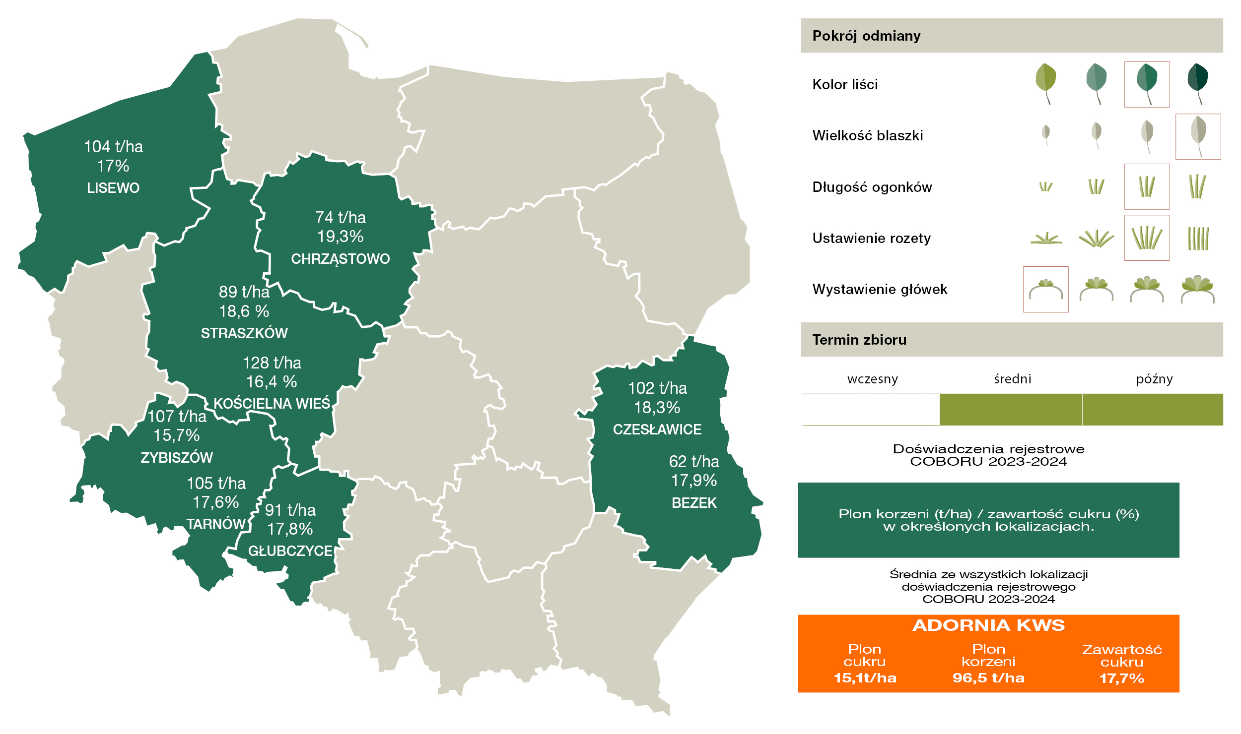 Źródło: COBORU 2024