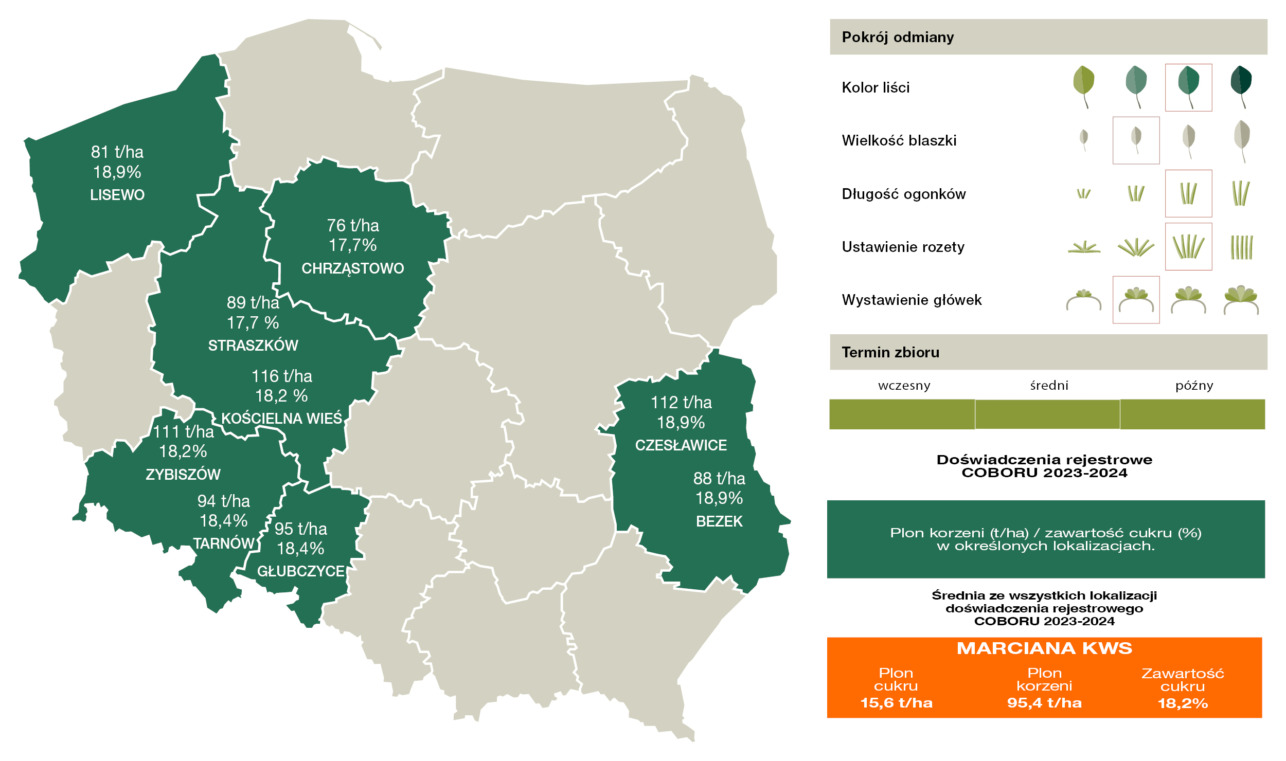 Źródło: COBORU 2024