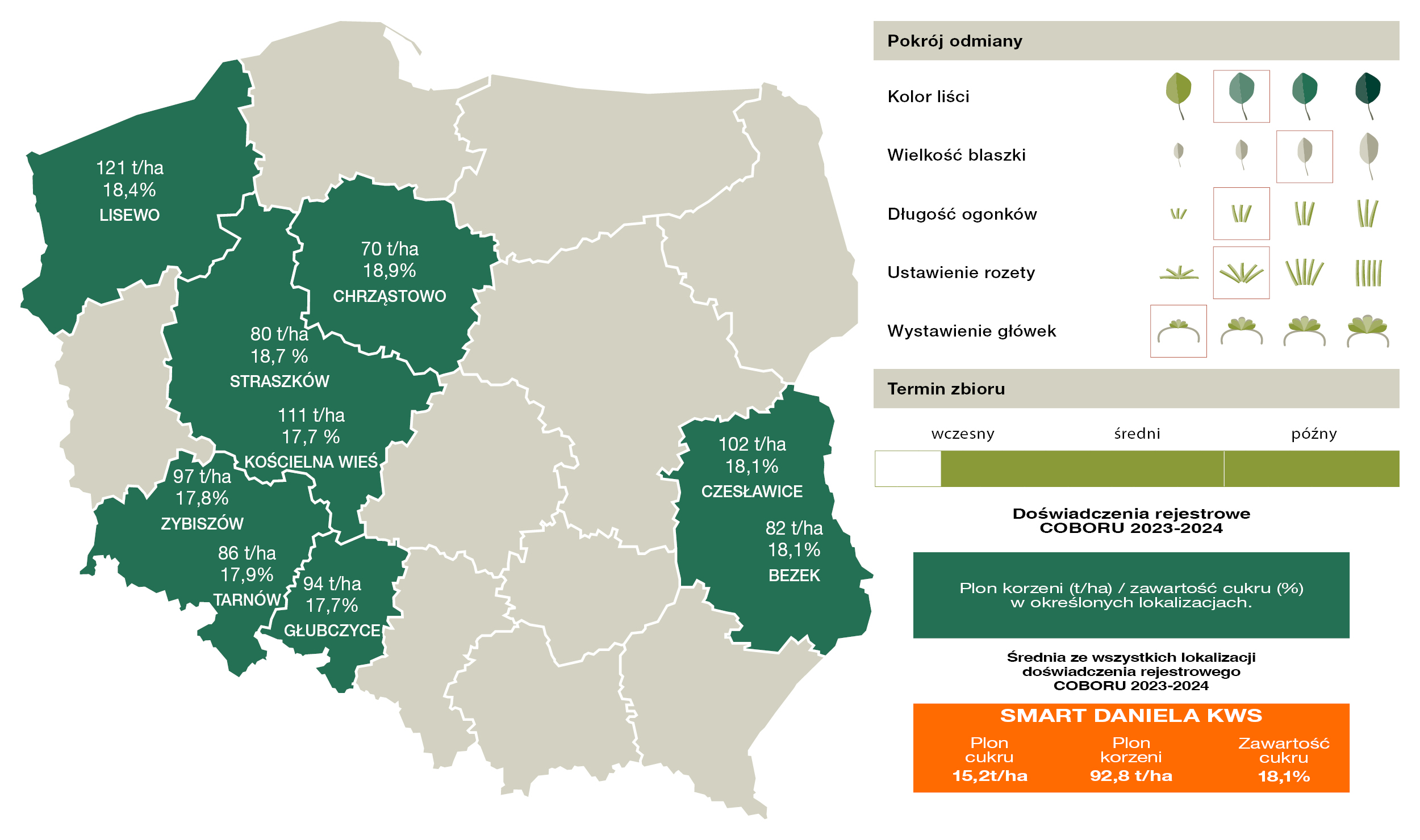 Źródło: COBORU 2024