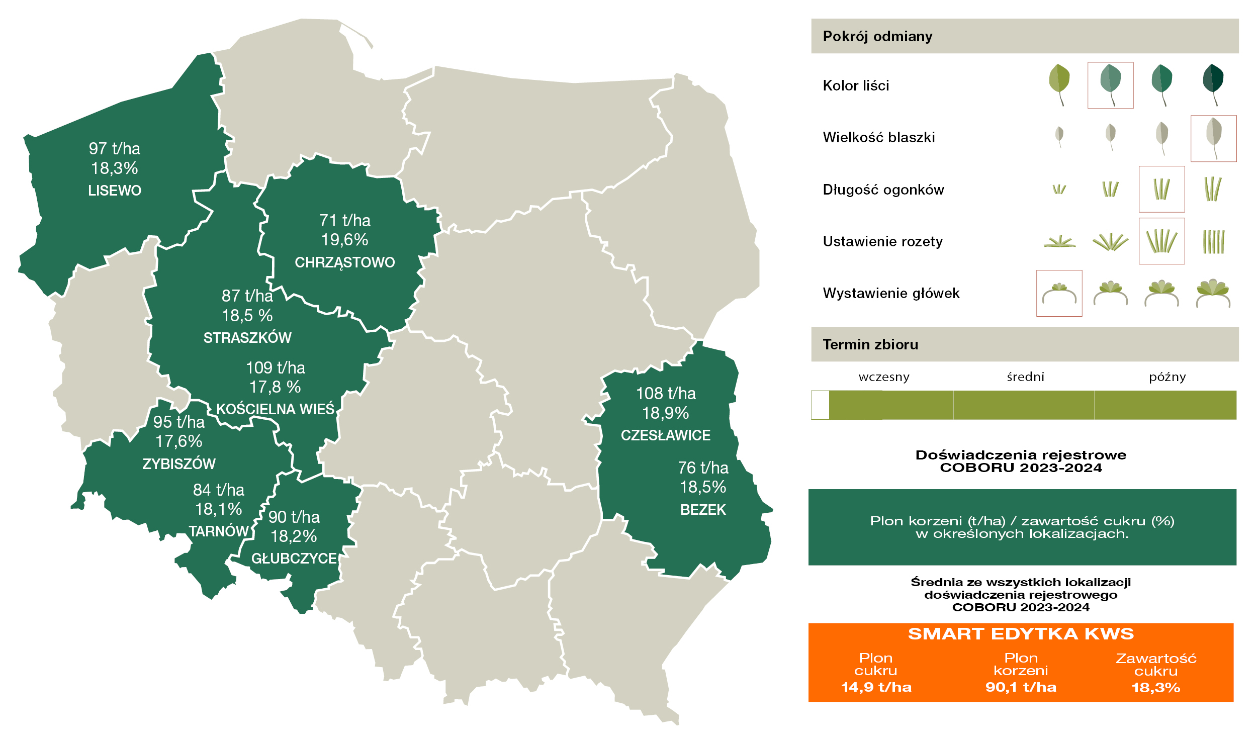 Źródło: COBORU 2024