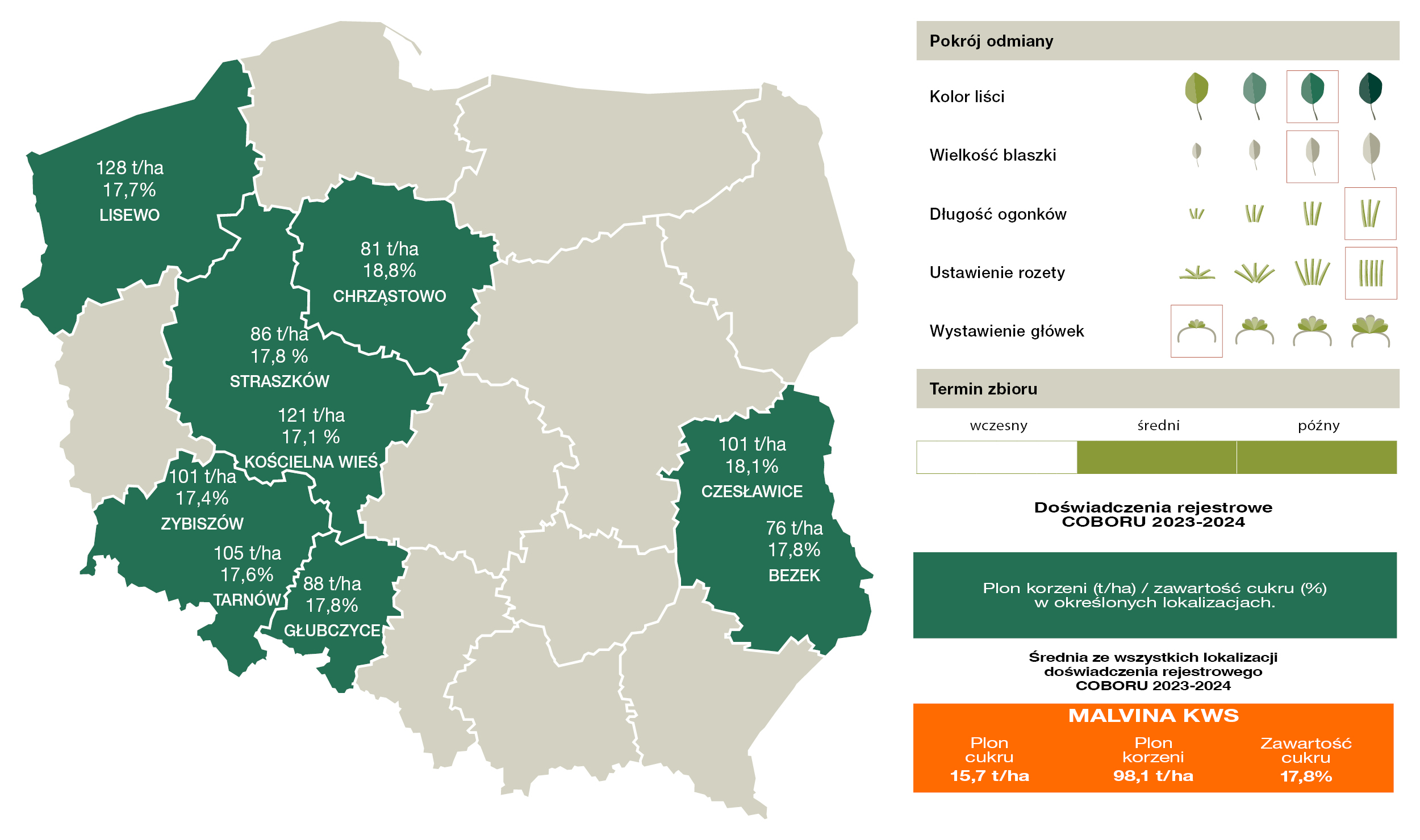 Źródło: COBORU 2024