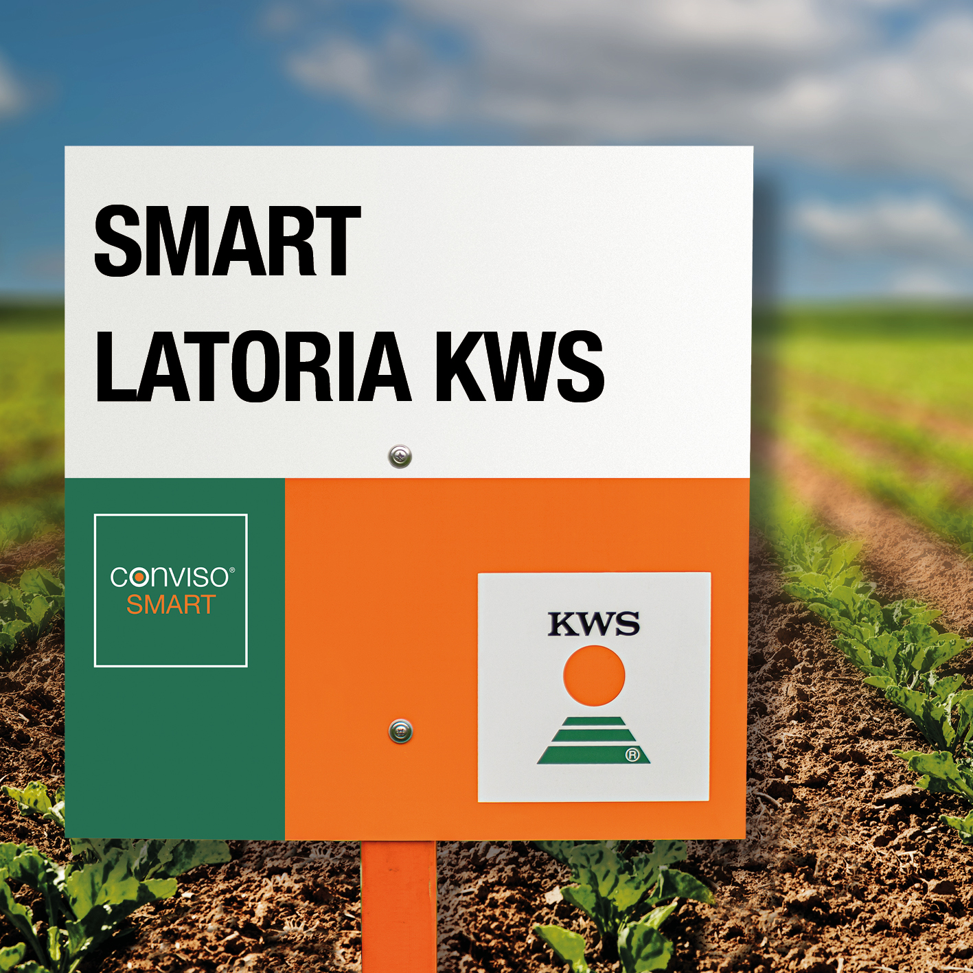 smart_latoria_kws_3.jpg