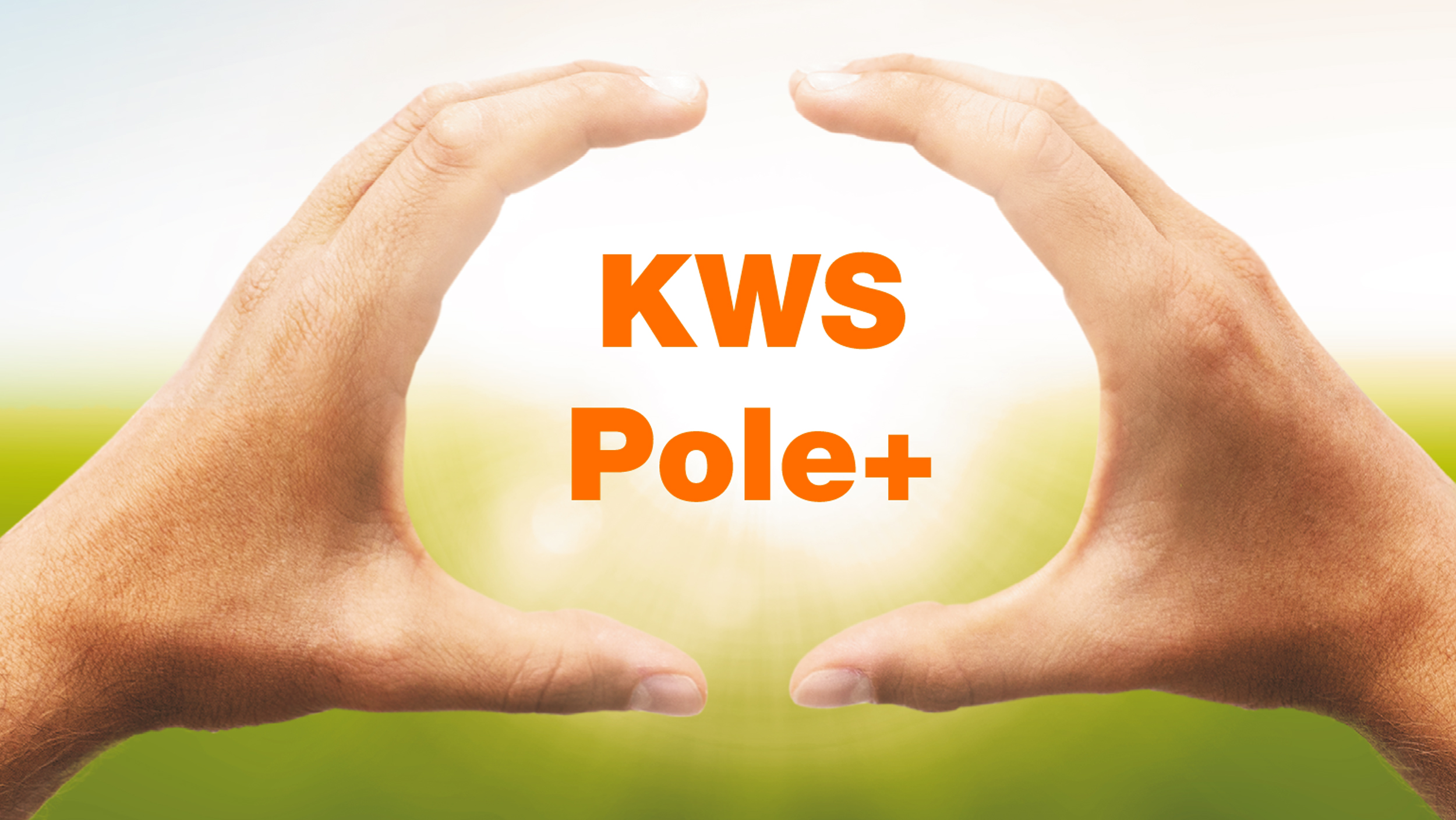 kws-pole-plus.jpg