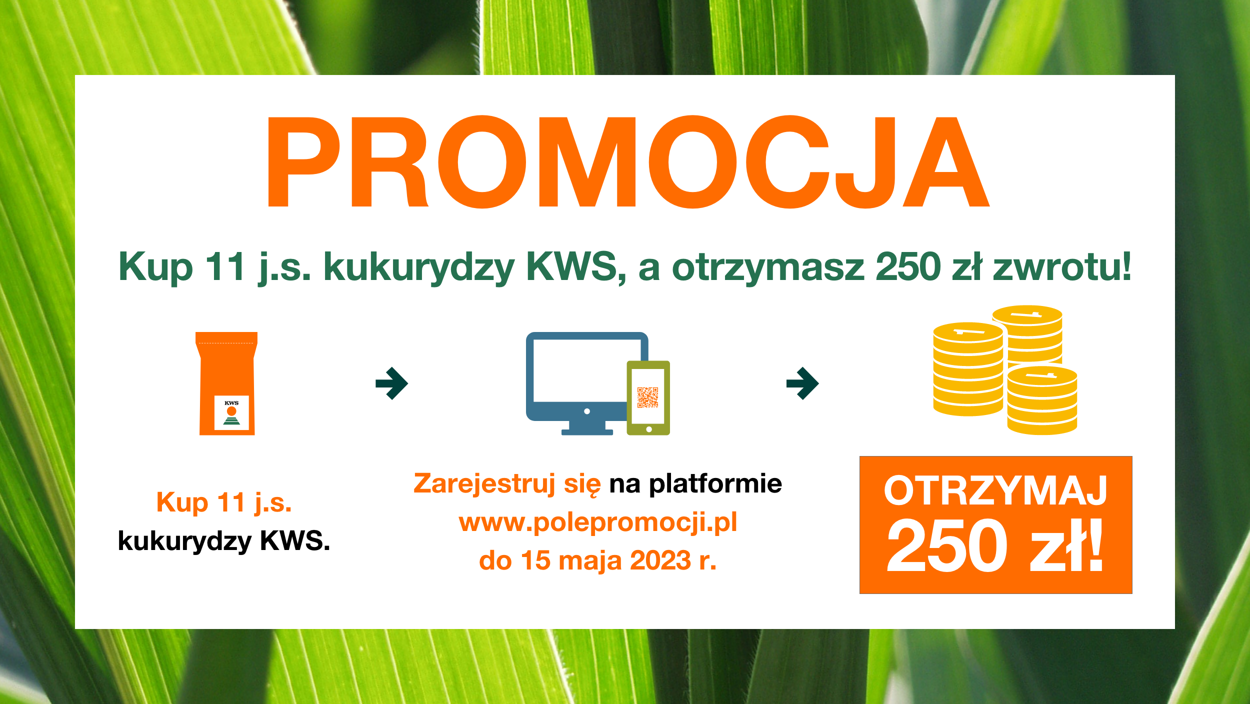 kws_grafika_promocyjna_2500x1408.png