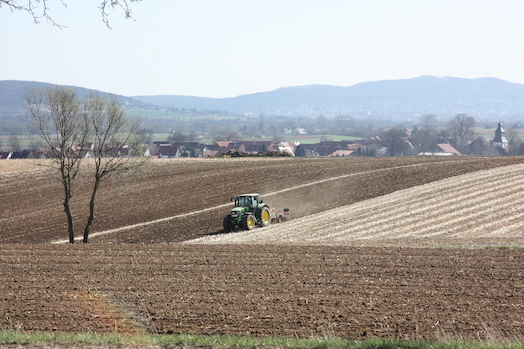 Źródło: KWS SAAT SE & Co. KGaA