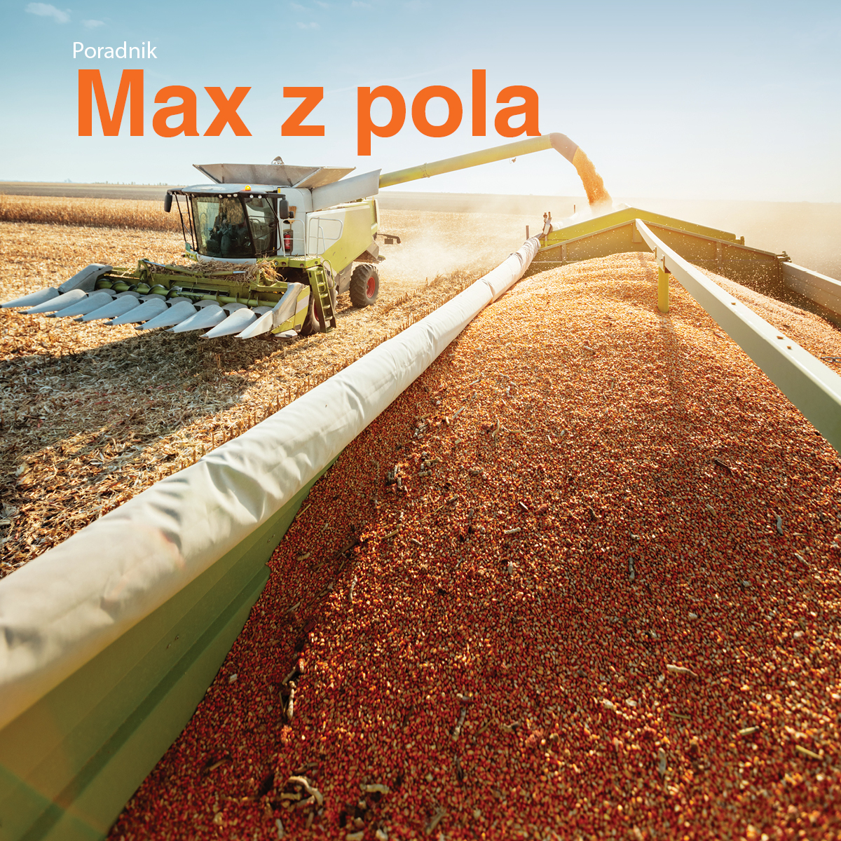 Kukurydza Plus4GRAIN na najlepszych polach