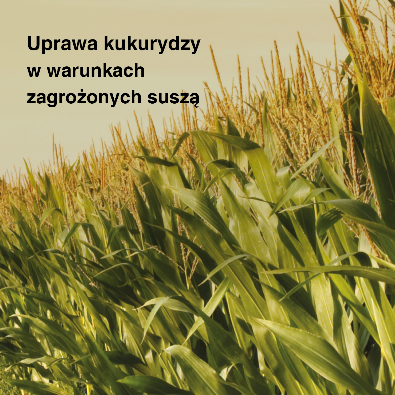 ClimaCONTROL3 first page drought guide