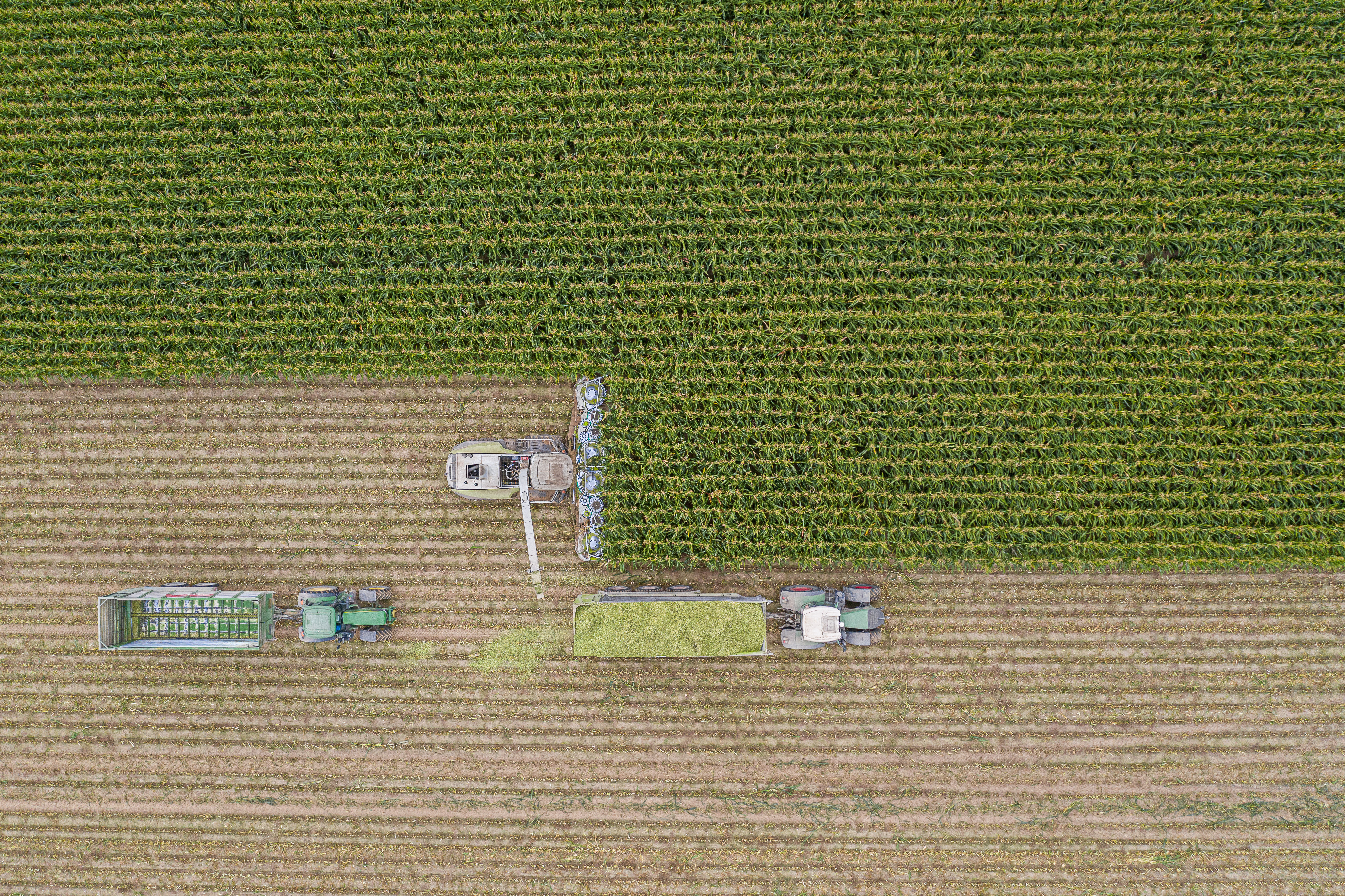 kws0919_corn_harvest_dji_0701.jpg