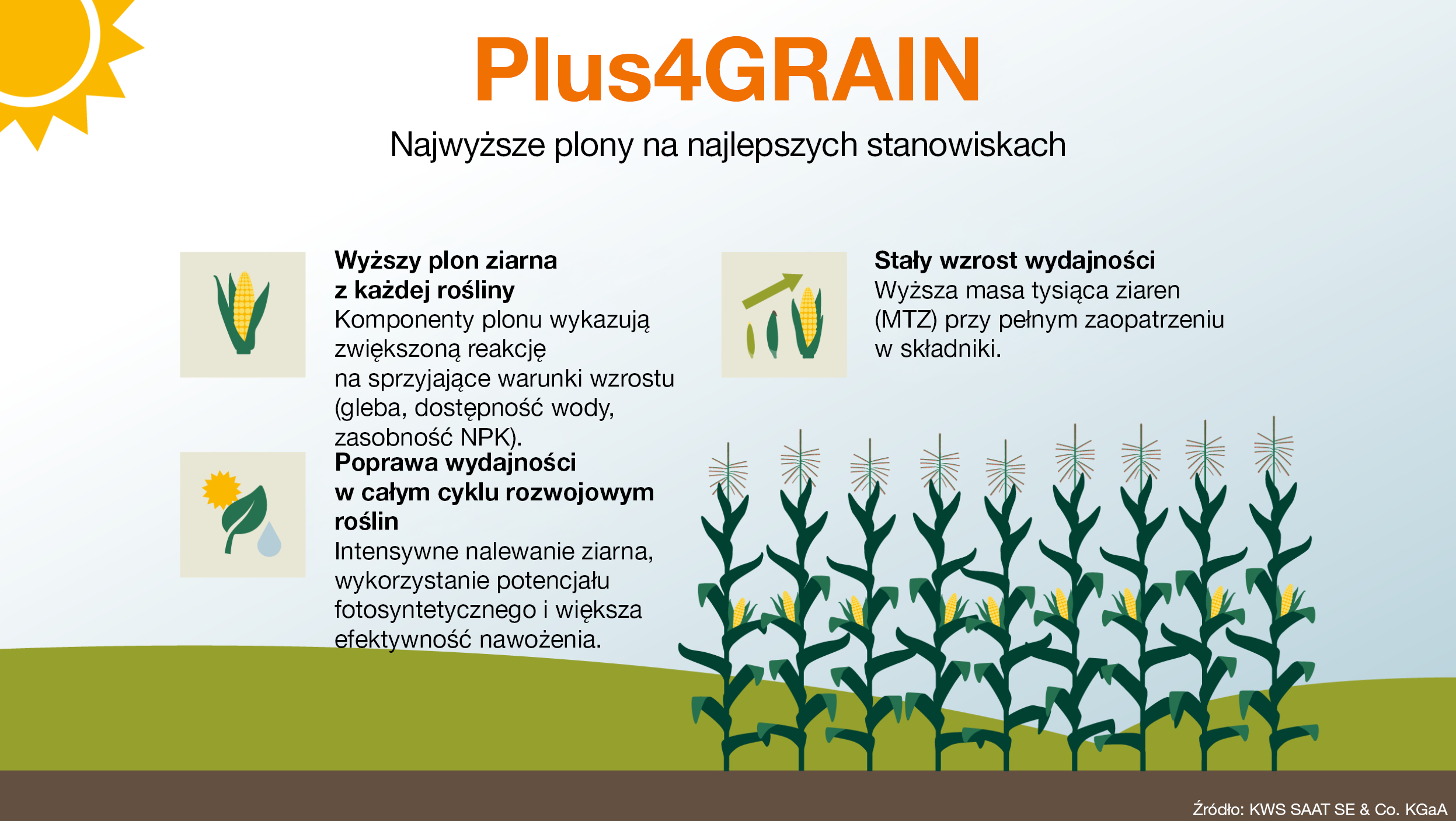 plus4grain_plony-na-najlepszych-glebach.jpg
