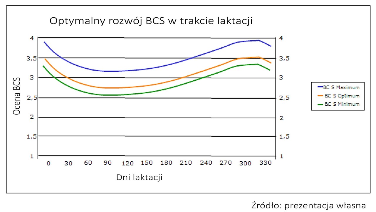 optymalny_rozwj_bcs_w_trakcie_laktacji.jpg