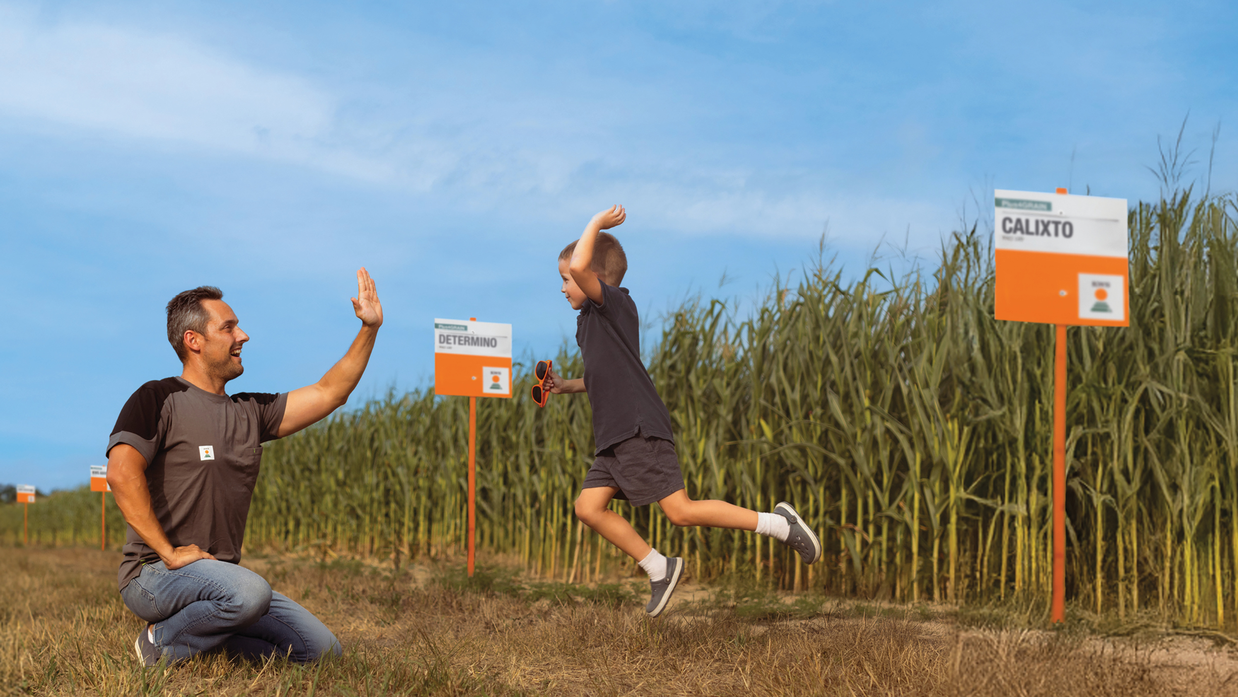 więcej plonu na każdym polu