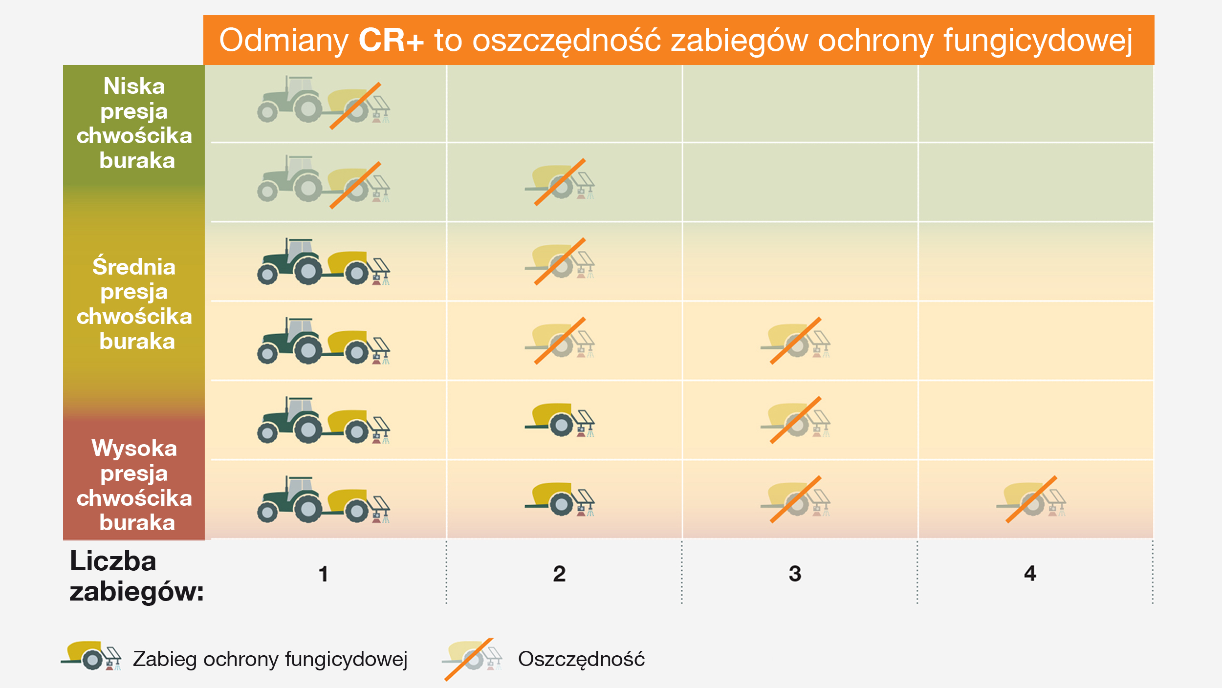 Źródło: Ocena na bazie wieloletnich obserwacji własnych doświadczeń agrotechnicznych pod względem ochrony buraka cukrowego