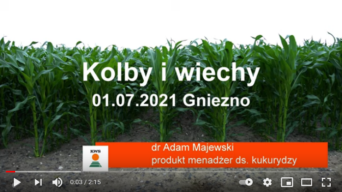 zawiazki-kolby-i-wiechy-01-07-2021-gniezno.png