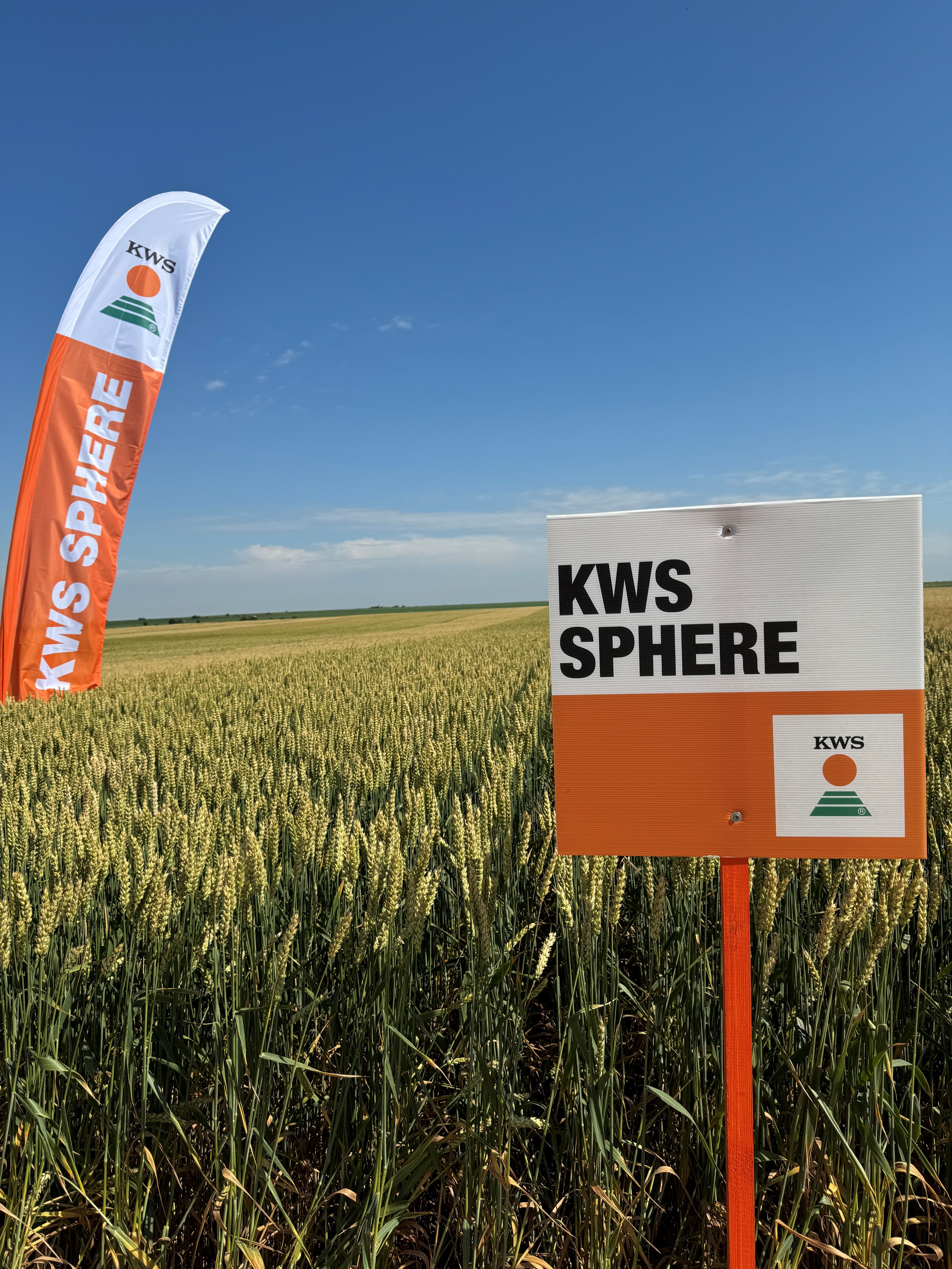 kws-sphere.jpg