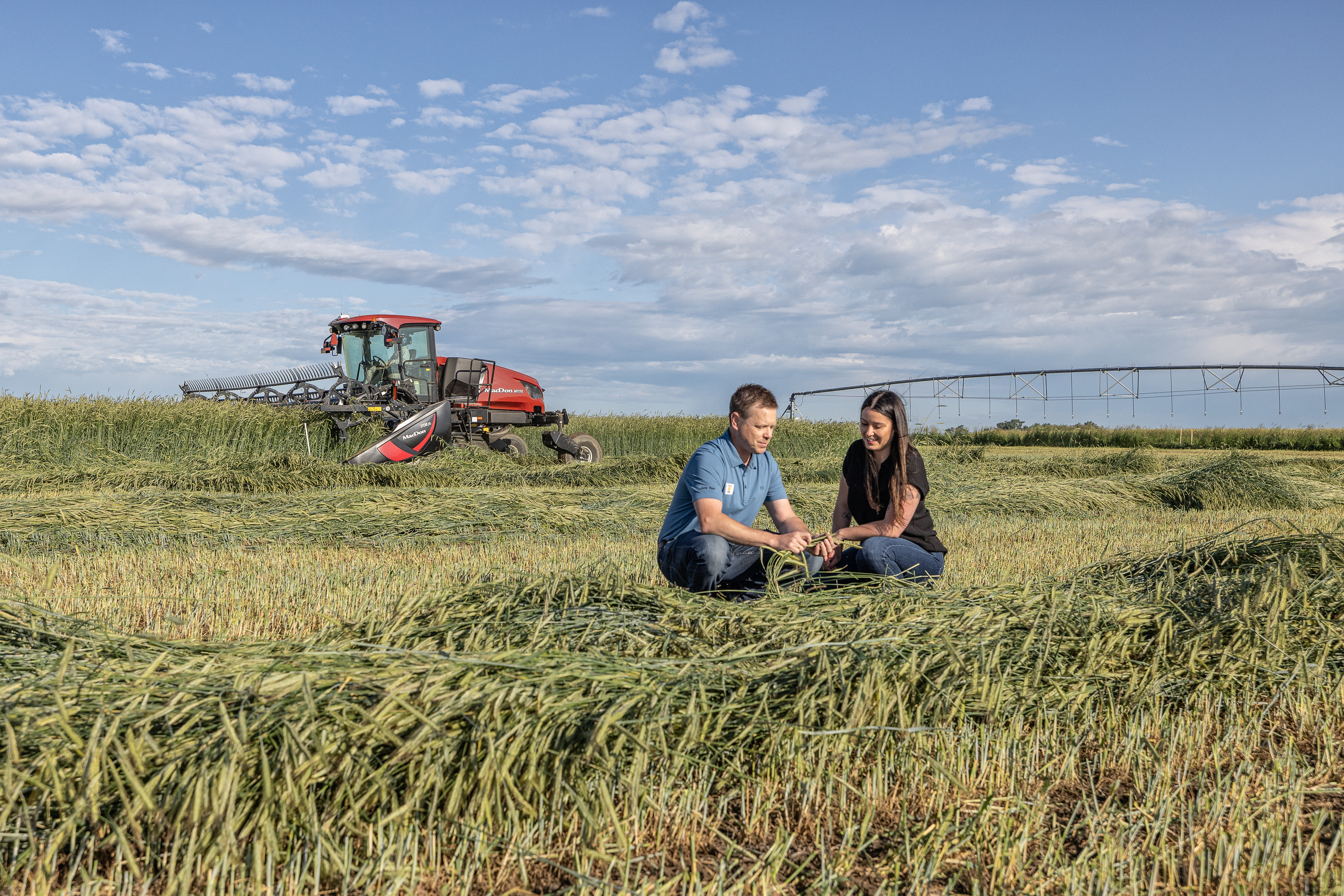 kws0724_hybrid_rye_consultancy_12954.jpg