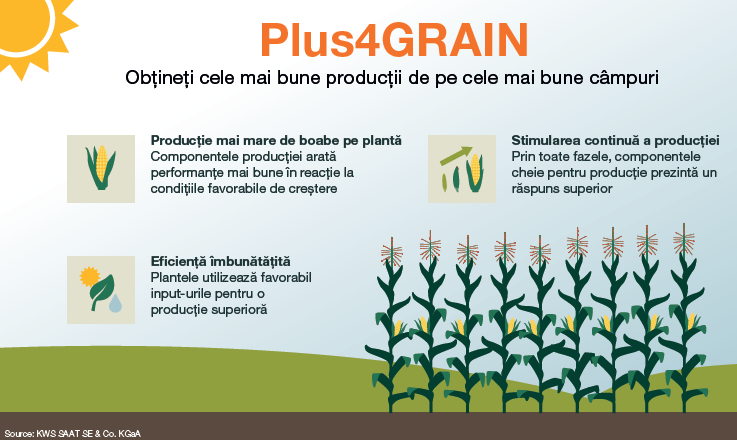 KWS infographic Plus4GRAIN MORE Growth