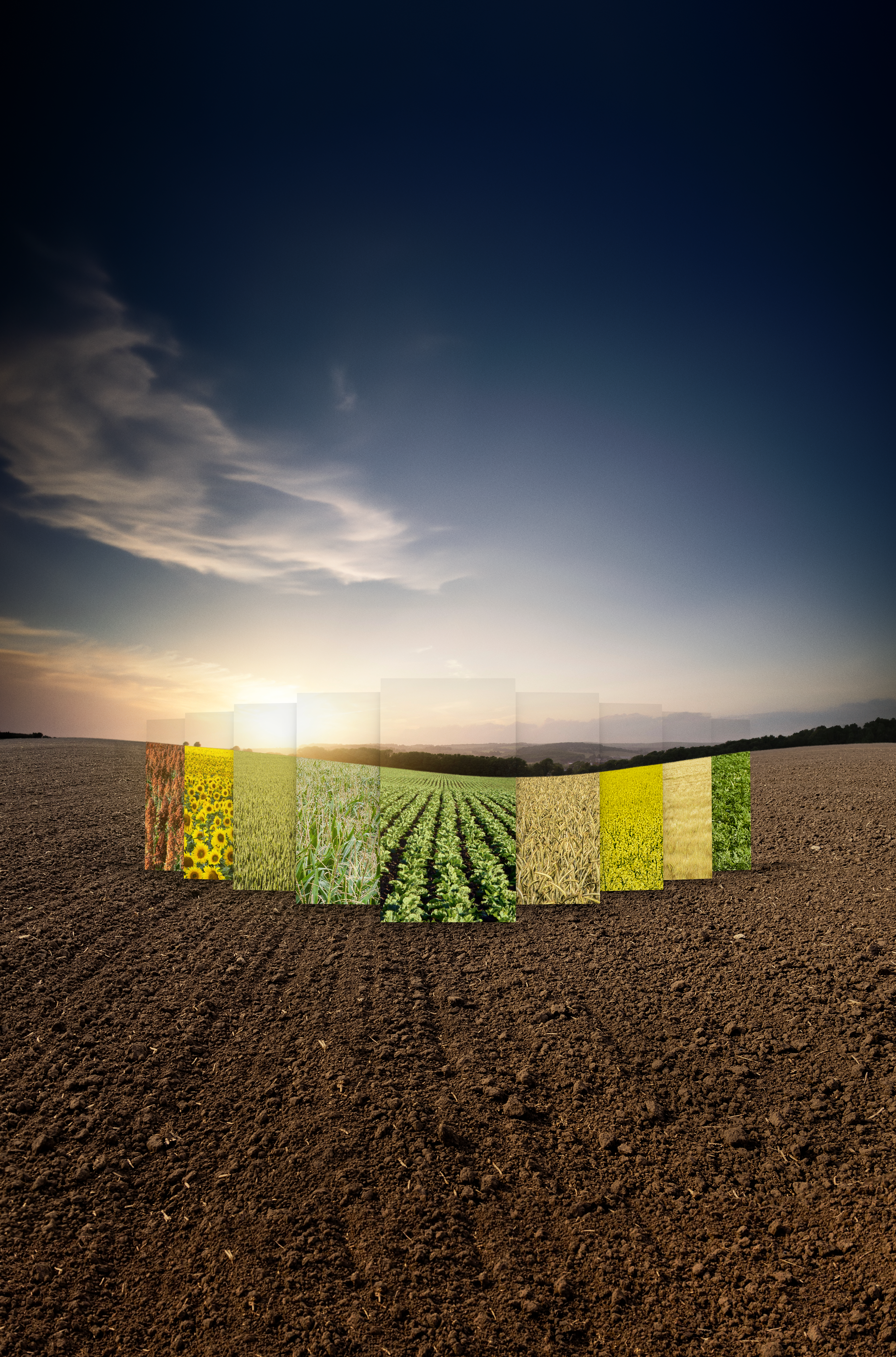 cross-crop-landscape.png