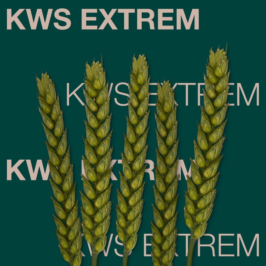 kws_extrem_keyvisual_rs_1x1_1.jpg