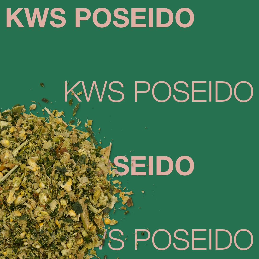 kws_poseido_keyvisual_rs_1x1_1.jpg