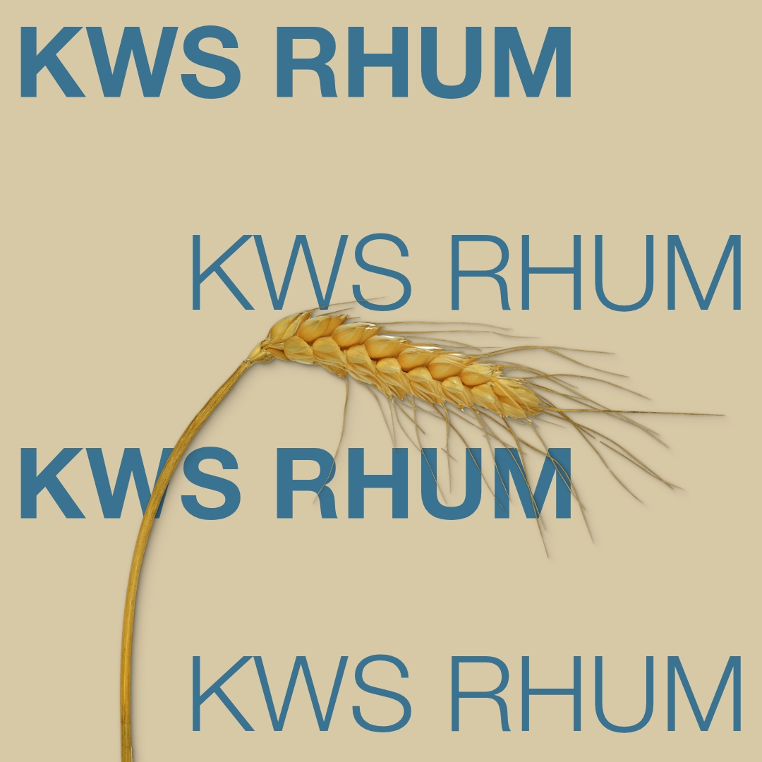 kws_rhum_keyvisual_rs_1x1_1.jpg