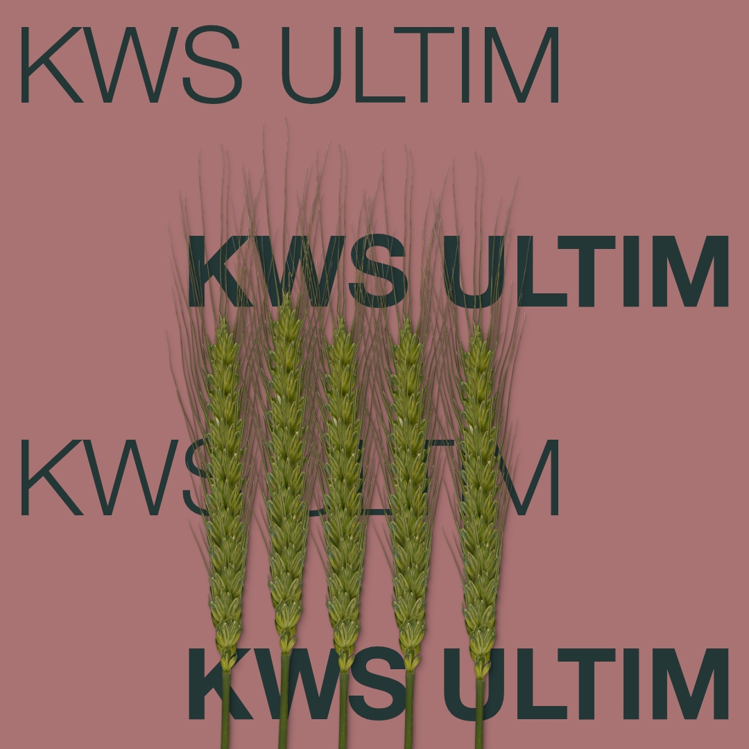 kws_ultim_keyvisual_rs_1x1_1.jpg
