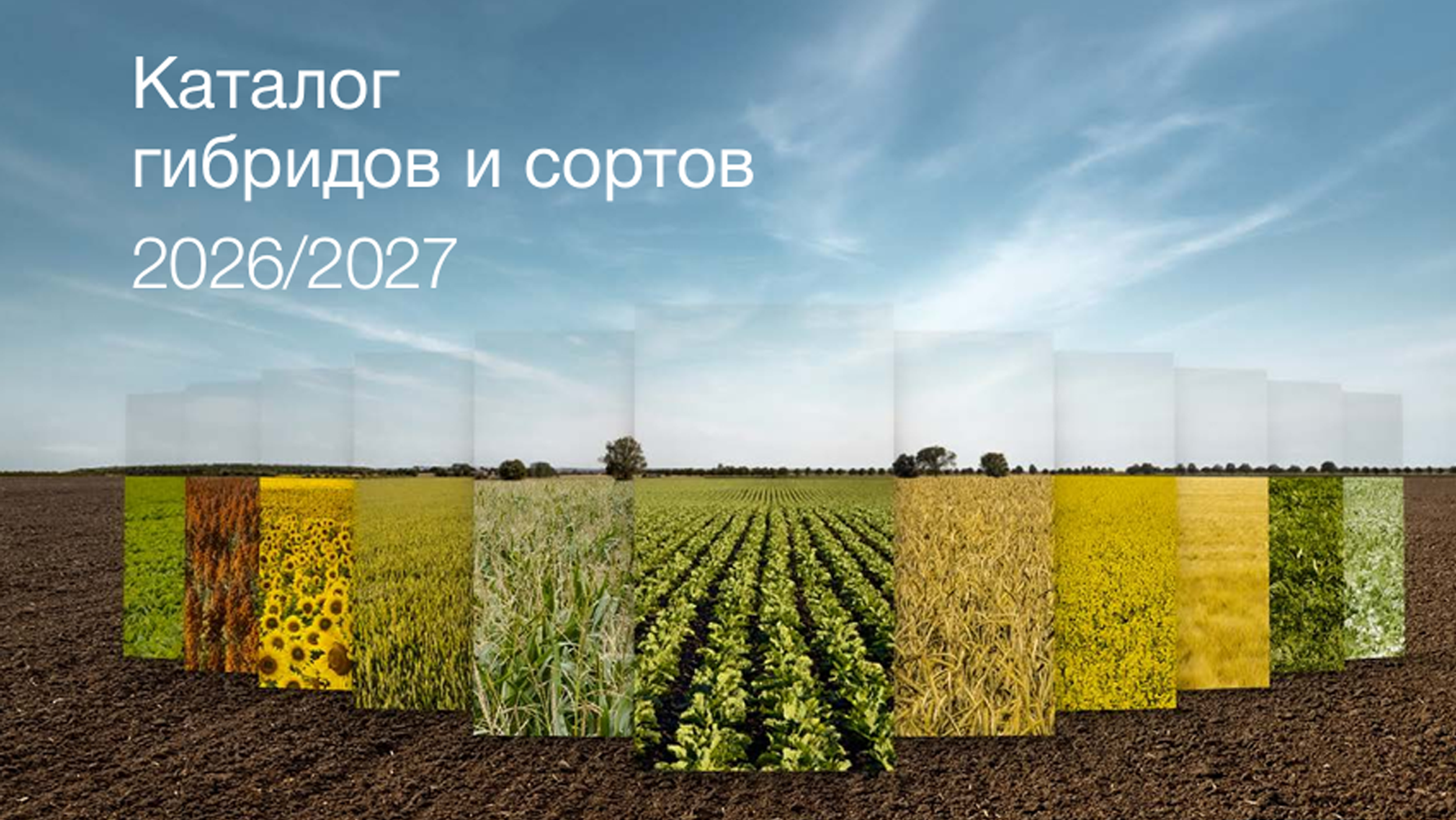 kws_каталог-сортов-и-гибридов_2026