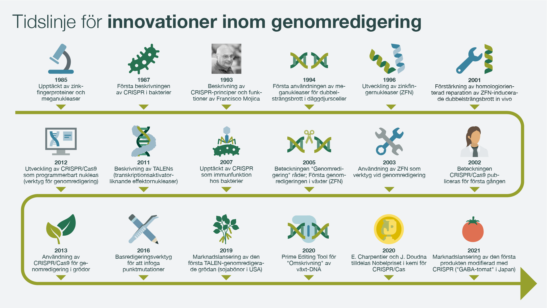 Timeline Infographic showing the most important innovations in genome editing
