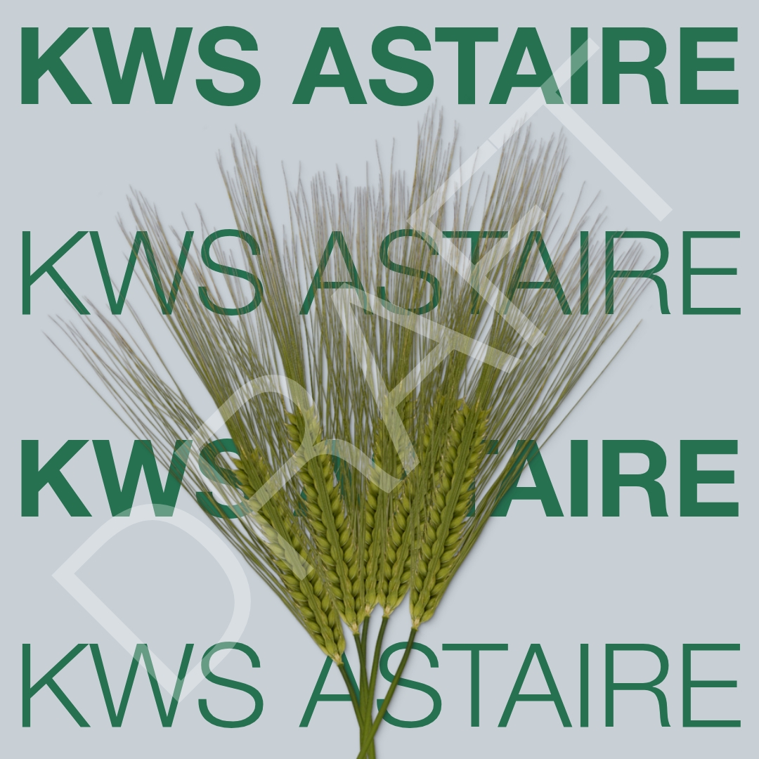 draft_kws_astaire_keyvisual_hr_1x1.jpg