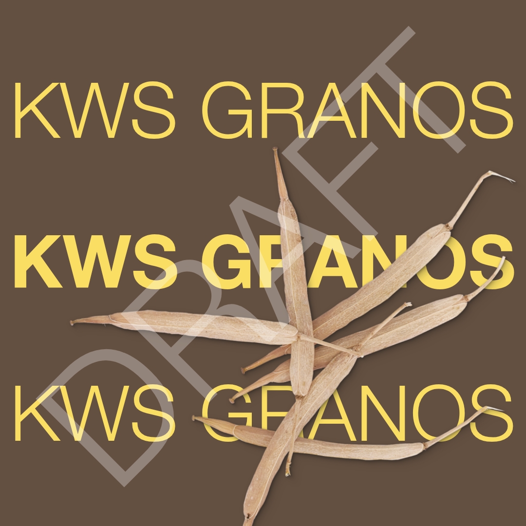 draft_kws_granos_keyvisual_hr_1x1.jpg