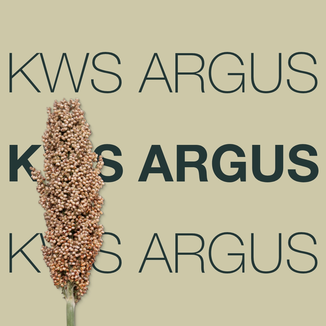 kws_argus_keyvisual_hr_1x1_1.jpg