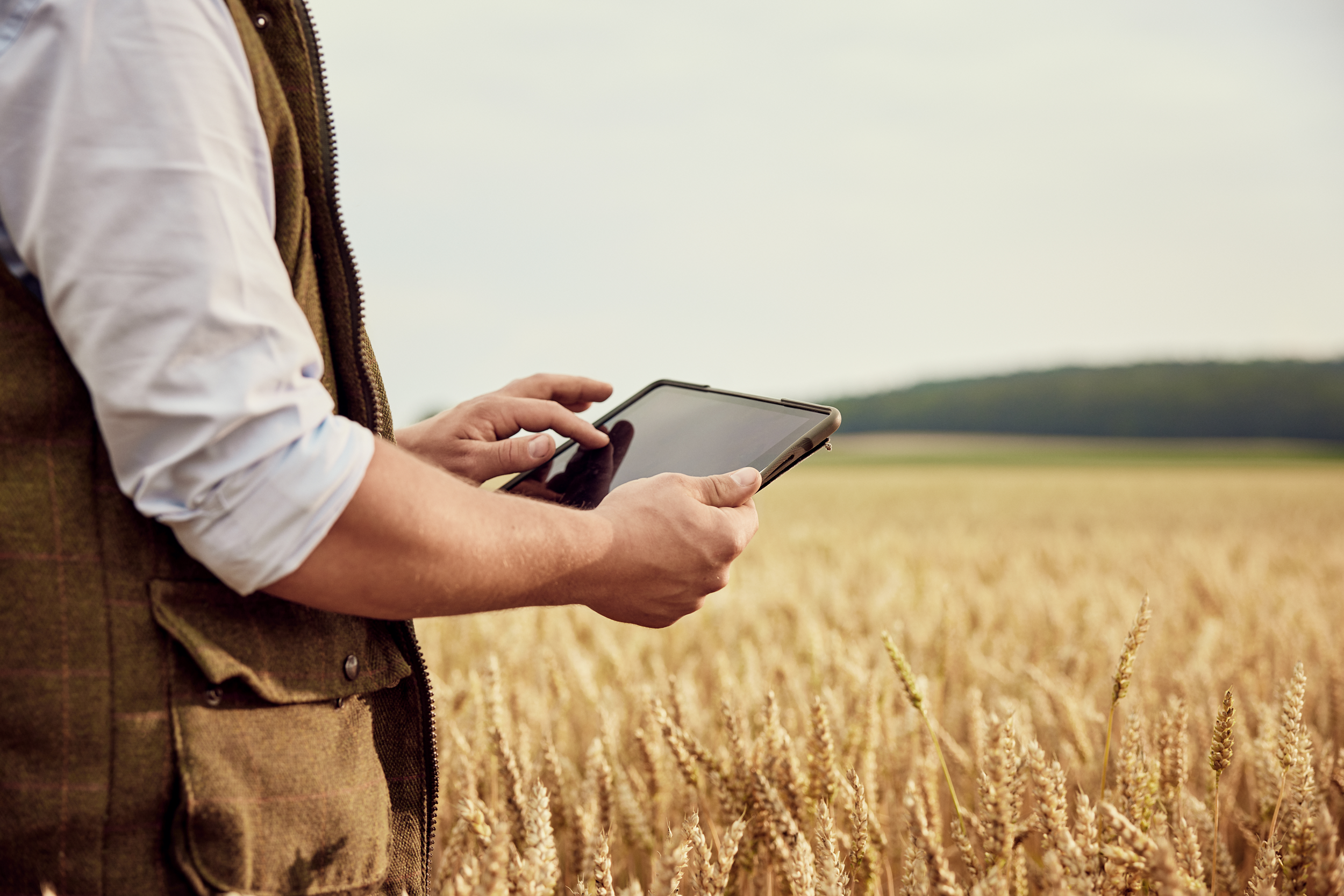 kws_farmer_in_rye_field_using_tablet_for_digital_agriculture_service_mykws.png