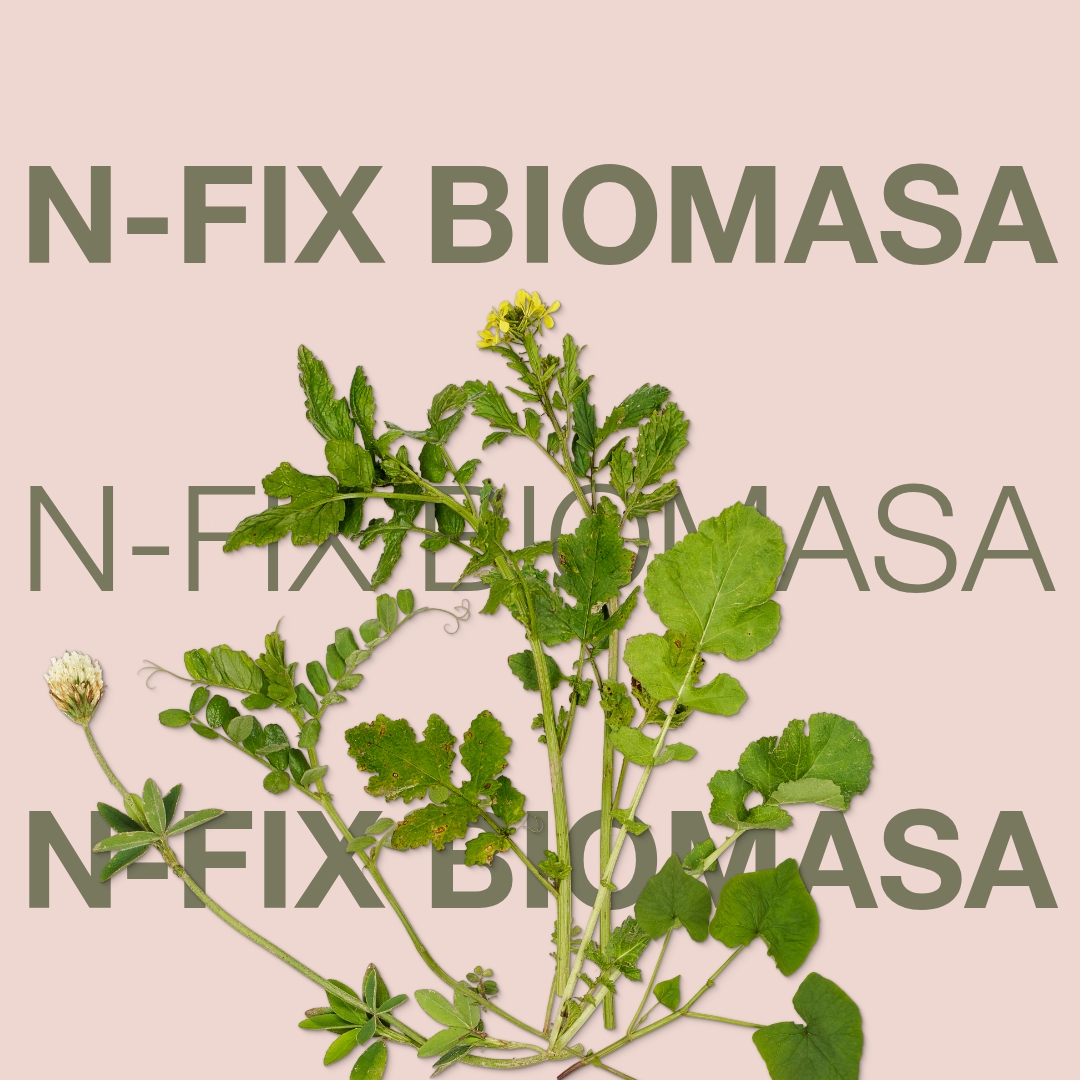 n_fix_biomasa_keyvisual_hr_1x1_1.jpg