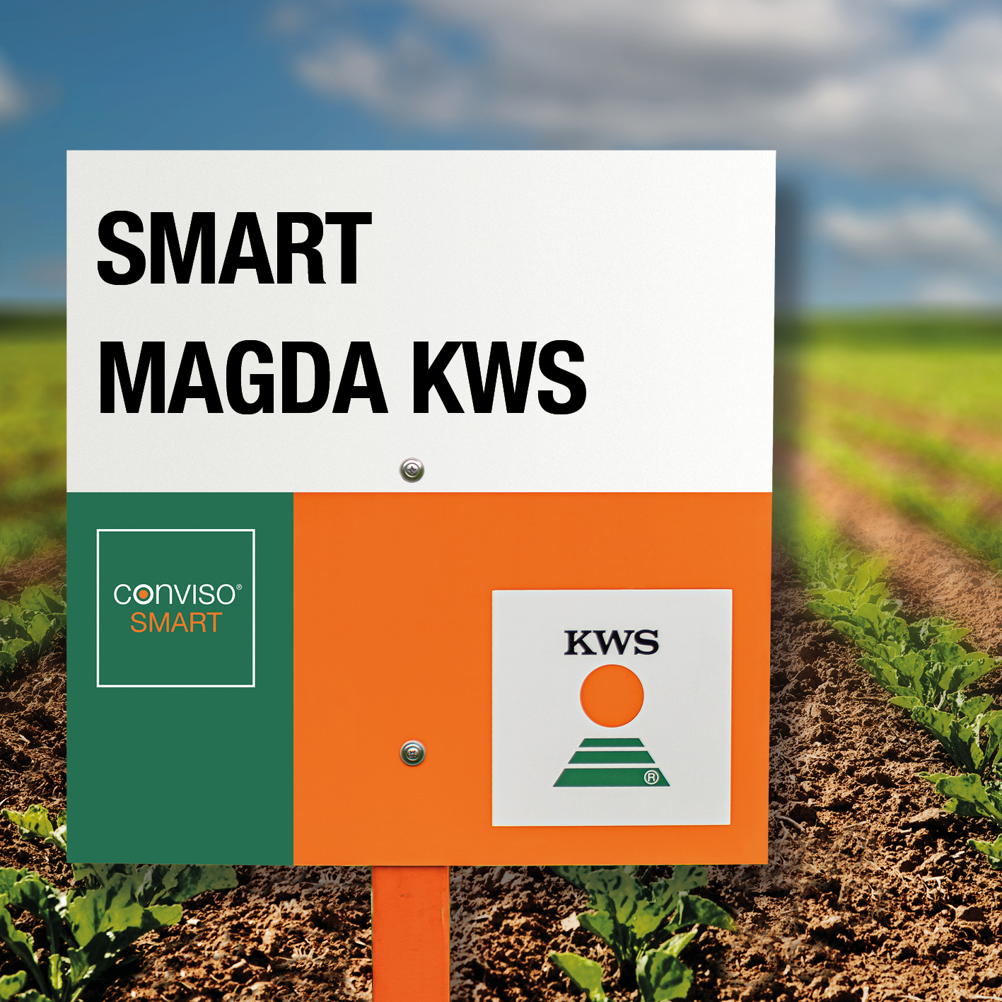 hr-smart-magda-kws.jpg